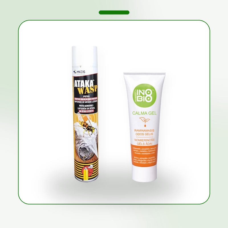 Wasp and Hornet Nest Destroyer Kit - for visible outdoor nests