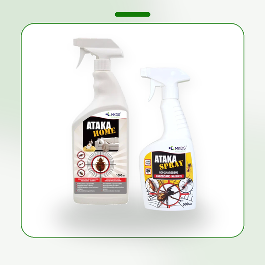 Spider Control Kit START - for one room