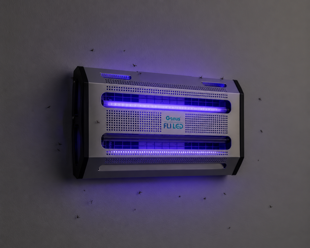Fli LED (2×18)