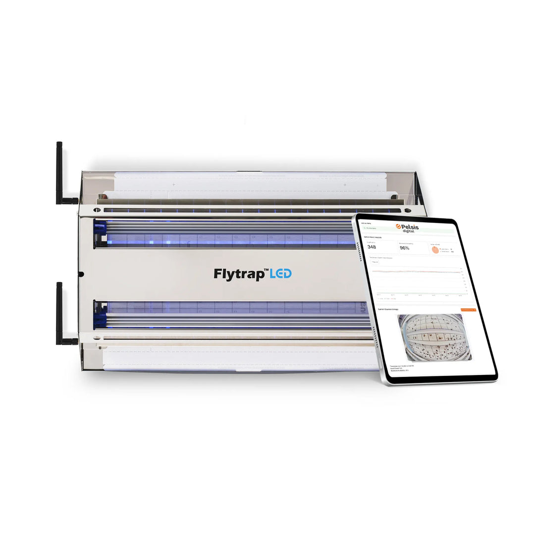 Digital FlyTrap 80 LED