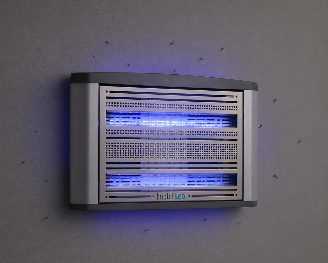 Halo LED 30 (Large)