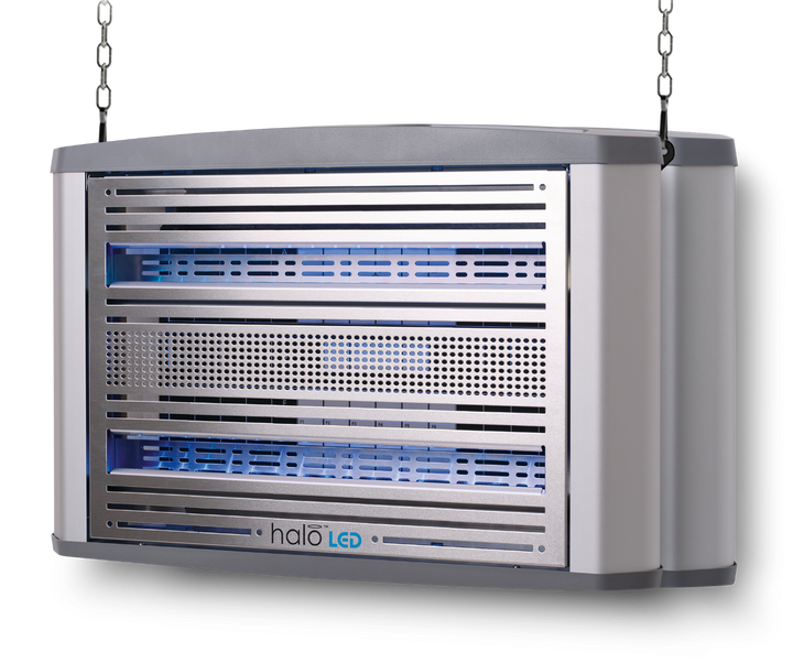 Halo LED 30 (Large)
