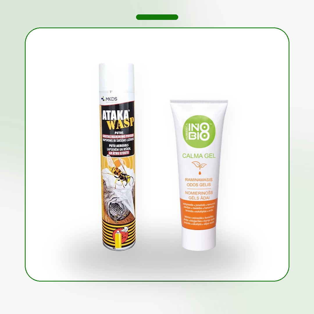 Wasp and Hornet Nest Destroyer Kit - for visible outdoor nests