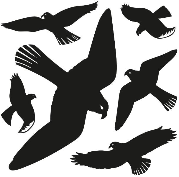 Bird stickers for window protection. 1 sheet - 6 birds.
